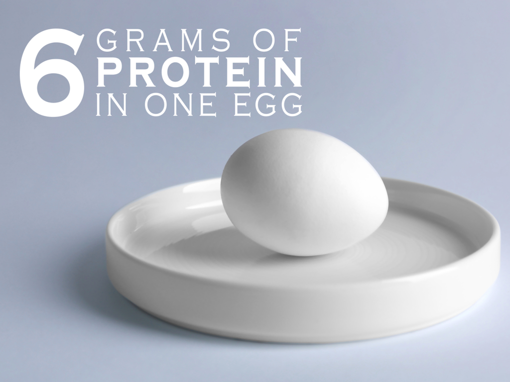 how much protein in an egg